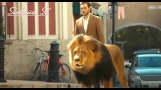 🔥Boys Attitude Status | Girls Attitude Status🔥| Hollywood Whatsapp Status | Sidlyrics SL