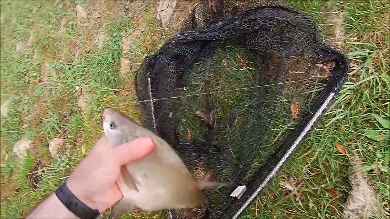 Рыбалка в Германии - YouTube