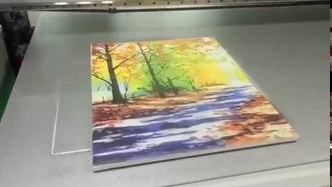UV LED Digital Printer CMYKW Embossment Effect Print on Canvas for Wall Decoration