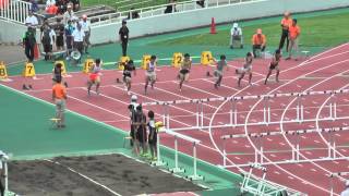 H27 千葉県選手権 男子110mH 準決勝2組