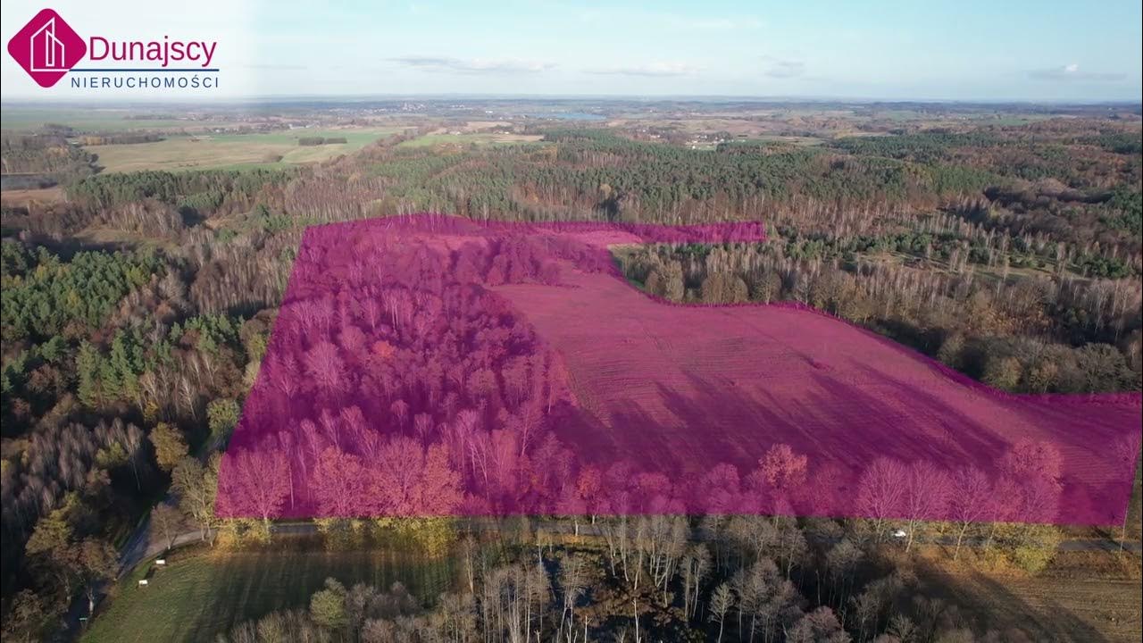 DUNAJSCY NIERUCHOMOŚCI NA SPRZEDAŻ OSADA NARYJSKI MŁYN YouTube