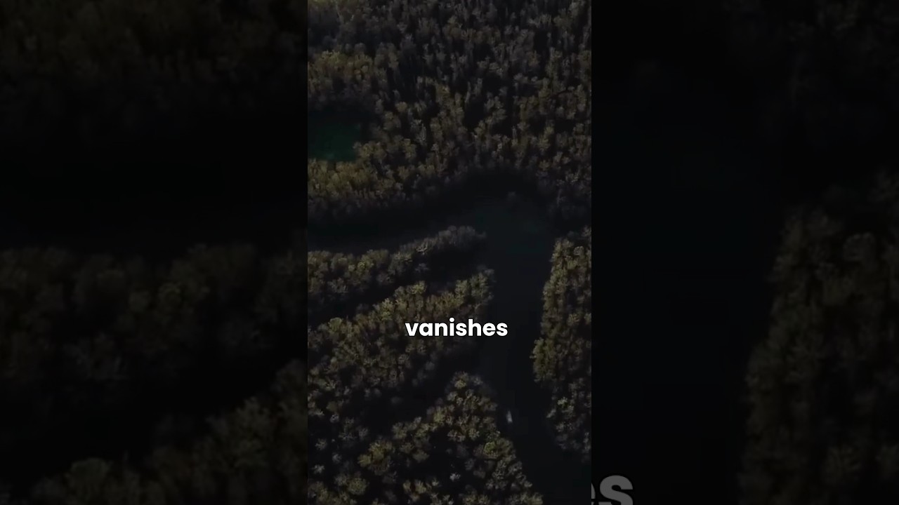 Unsettling, to say the least