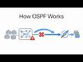 OSPF Explained — How OSPF Works (CCNA 3)
