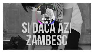 Theodor Andrei - Si Daca Azi Zambesc (Official Visalizer)