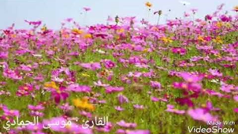 تلاوة طيبة موسى الحمادي