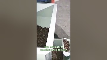 Premium Nut Grading Machine 🌰 | High-Efficiency Sorting for Food Processing#nutgradingmachine #nut