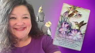 Cockatiels, hummingbirds, and oracle cards, oh my!