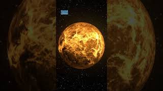 Earth and Venus in the Same Orbit: A Cosmic Disaster or a Miracle?