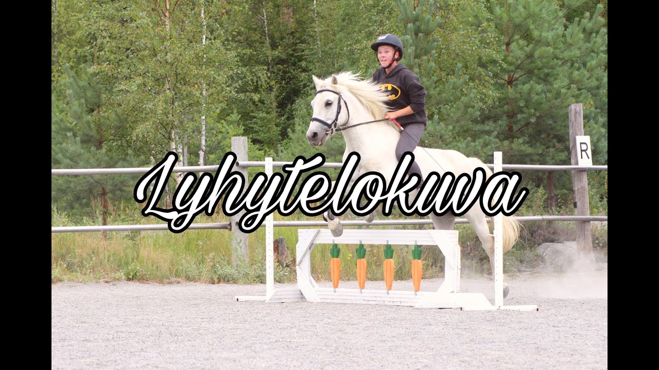 Elokuva - uusi tallinomistaja