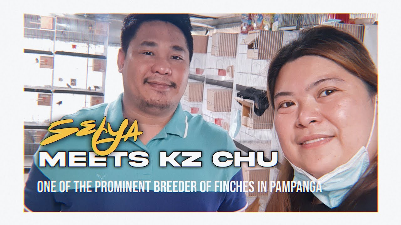 KZ Chu. One of the prominent breeder of finches in Pampanga