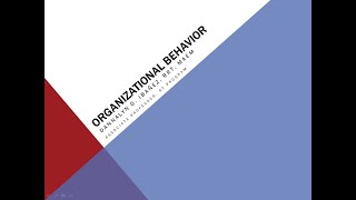 Lecture 3  Organizational Behavior