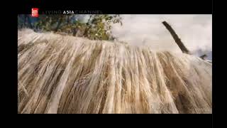 Living Asia Channel