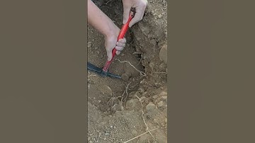 #discovery #exploration #explorer #mystery #mysterious#adventure #exciting #pottery#imagination