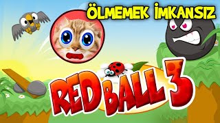 RED BALL 3 TE ÖLMEMEK İMKANSIZ 😱 - Red Ball 3