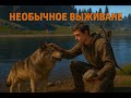 Необычное выживание 🎵🔥 ! Не пропусти ! лайк, подписка, комментарий греют не хуже костра.✨🔥