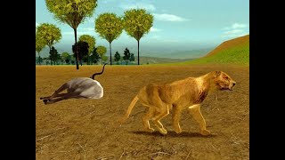 Hunting Unlimited 2009 - Challenges - Short'n Sweet