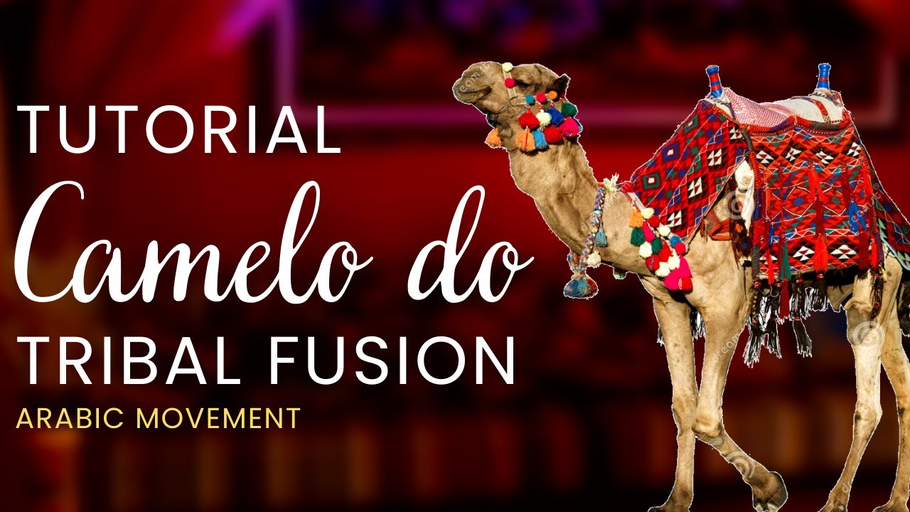 Tutorial Tribal Fusion Bellydance • Arabic • O movimento "camelo" da dança do ventre no tribal