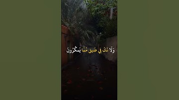 سمع القرآن الكريم لا تهرب من كلام الله
