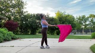 “A Patriotic Salute” *New* Flag Routine (Group A - Back View) - 4th of July Parade DGN Color Guard
