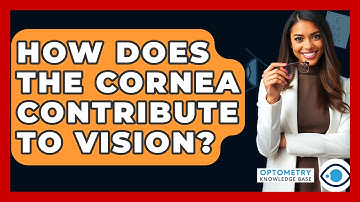 How Does The Cornea Contribute To Vision? - Optometry Knowledge Base