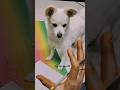 నేను మళ్ళీ వచ్చేశానోచ్ #chikirichikiri #trending #telugu #ramcharan #teluguaudio#viral