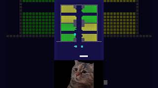 Cat Memes #Cat #Cute #Chipichipi #Huhcat #Brickbreaker #Memes #Shorts