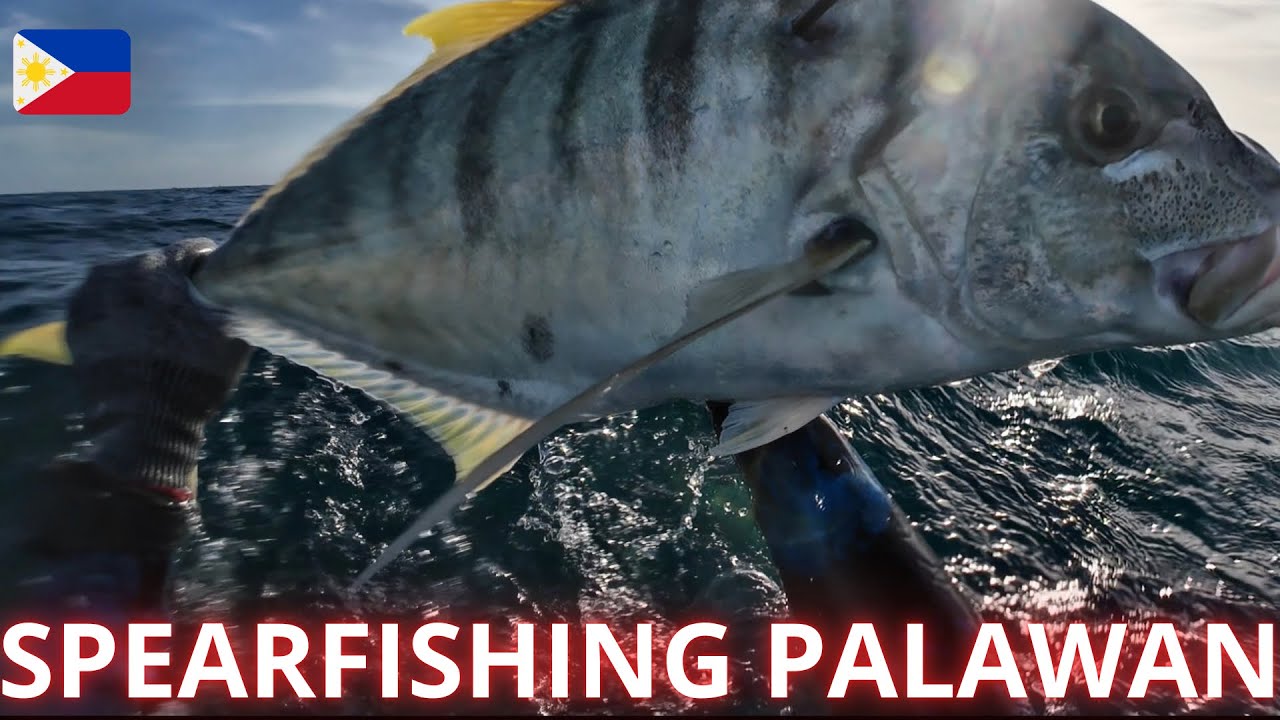 🏆UNANG BYAYA SA BAGONG SPOT KASAMA NI  @JosephAgdon-if7fh #spearfishingphilippines  #palawan