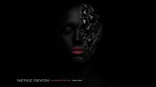 NETKIZ DEVON - After Dark (Álbum Loneliness in the sky)