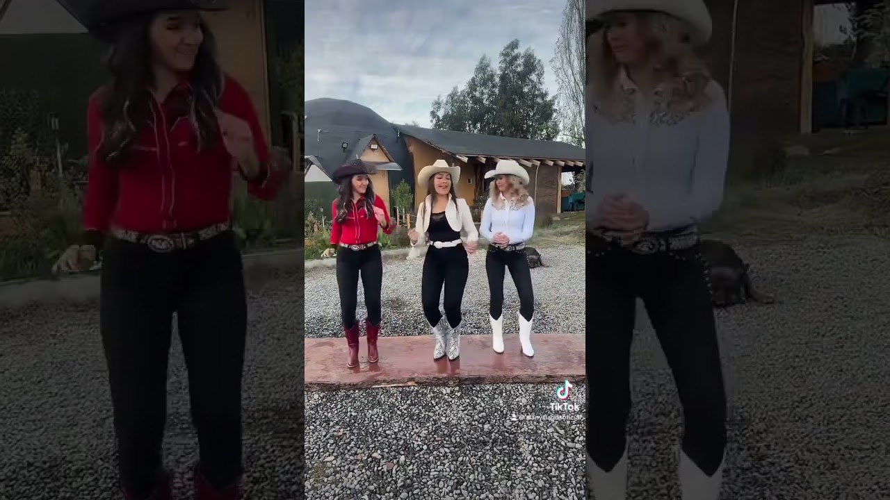 Al ritmo del tigre baile Alanys Lagos #cumbia #tendencias #baile #trending