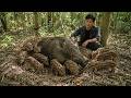 CEO leaves city for the Countryside: Welcoming a new litter of Wild Boars