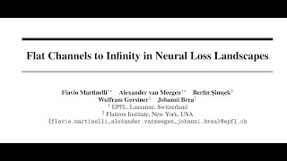 [QA] Flat Channels to Infinity in Neural Loss Landscapes