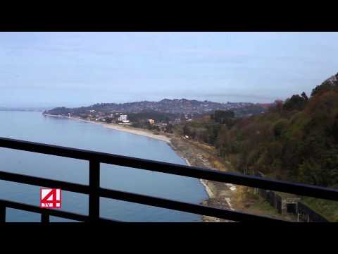 ბოტანიკურ ბაღში   ღია ცის ქვეშ კინოჩვენებები მოეწყობა