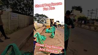Dog Rescue And Release Same Place #dog #streetdogrescue #release #pets #ytviral #shorts #animals