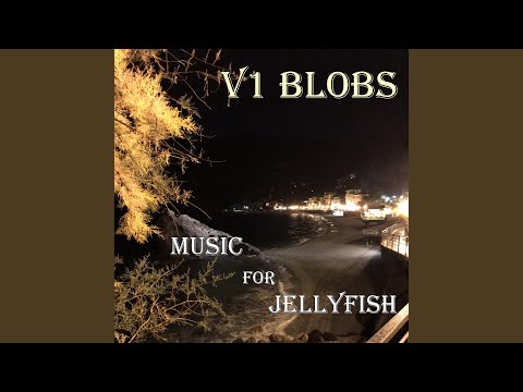 YouTube पर Sixteen Jellyfish देखें