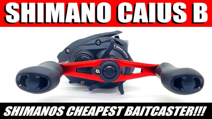 This Fishing REEL Doesn't SUCK!!! (SHIMANO Caius Review) 