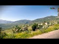 Balade sur la route de vouvhir vers iferhounne  tiziouzou 