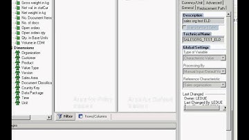 Xcelsius and BW with BICS: step 1 (Query designer)