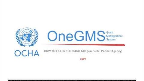 [EN] - CBPF Implementing Partner - Fill in the Cash tab