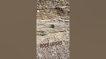 Rock Layers #fossil #fossils #geology #rocks #paleontology #coolrock #rock #shorts #interesting