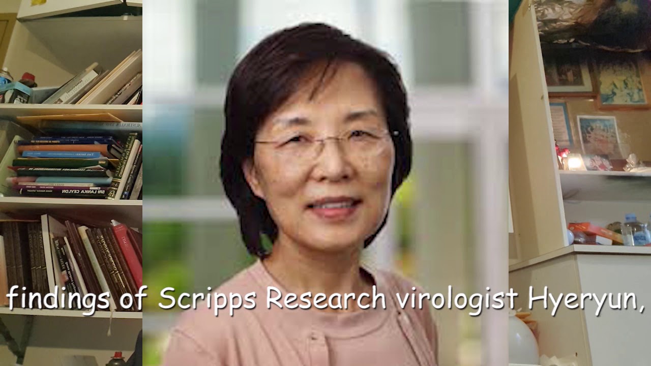 Mutant Virus (COVID-19)