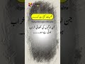 Psychology Says Nafsiat Kehti Hai Psychology Psychological Facts In Urdu Psychology With Sidra Psychology Says Nafsiat Kehti Hai Psychology Psychological Facts In Urdu Psychology With Sidra