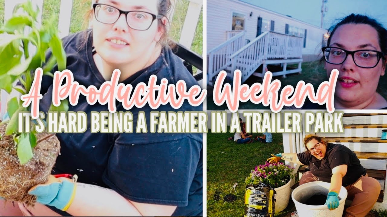 I DON’T EVEN KNOW WHAT I PLANTED | productive weekend | mobile home living