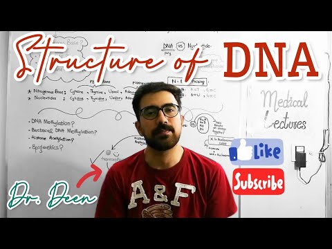Mastering DNA Structure: