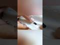 Gaaj making practice#diy #trending #sewing #basicstitching #ytshorts | free stitching Class |
