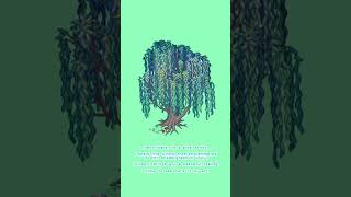 Willow tree swaying in wind #pixelart #unity #shadergraph
