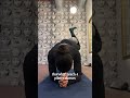 workouts of the week as a mat pilates instructor #pilatesinstructor #workoutroutine