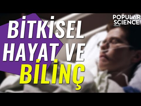 Bitkisel Hayat ve Bilinç | Popular Science Türkiye