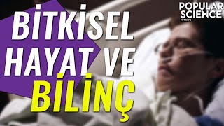 Bitkisel Hayat ve Bilinç | Popular Science Türkiye Resimi