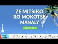 Ze Mitsiko Ro Mokotse Manaly Solo TAB 