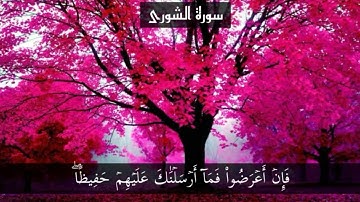 سورة الشورى page 488 {القارئ رعد الكردي}
